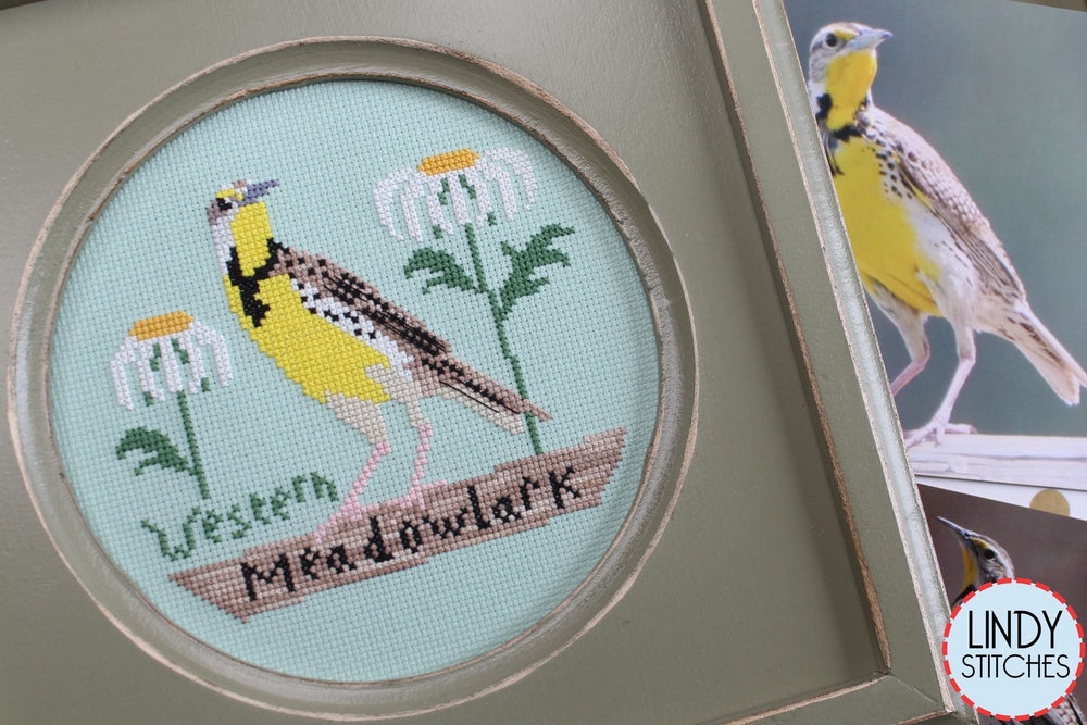 Western Meadowlark by Lindy Stitches